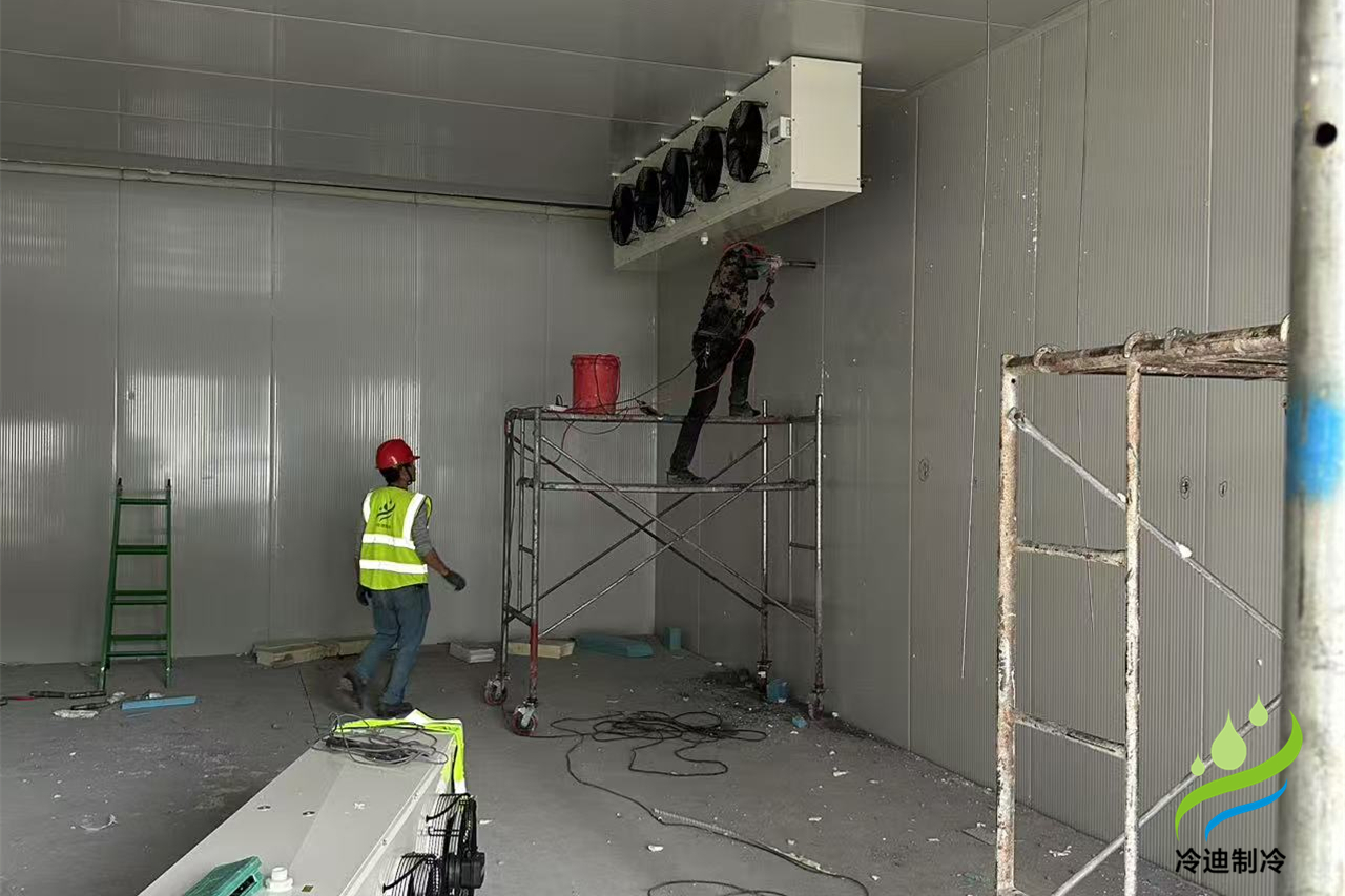 醫(yī)藥冷庫(kù)